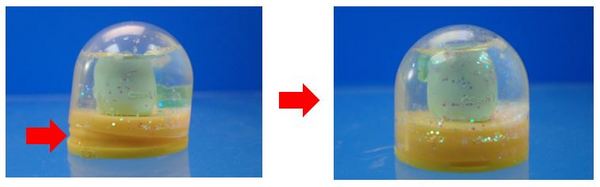 faq_181130_kirakirasnowdome.jpg