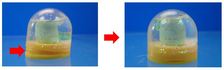 faq_181130_kirakirasnowdome.jpg
