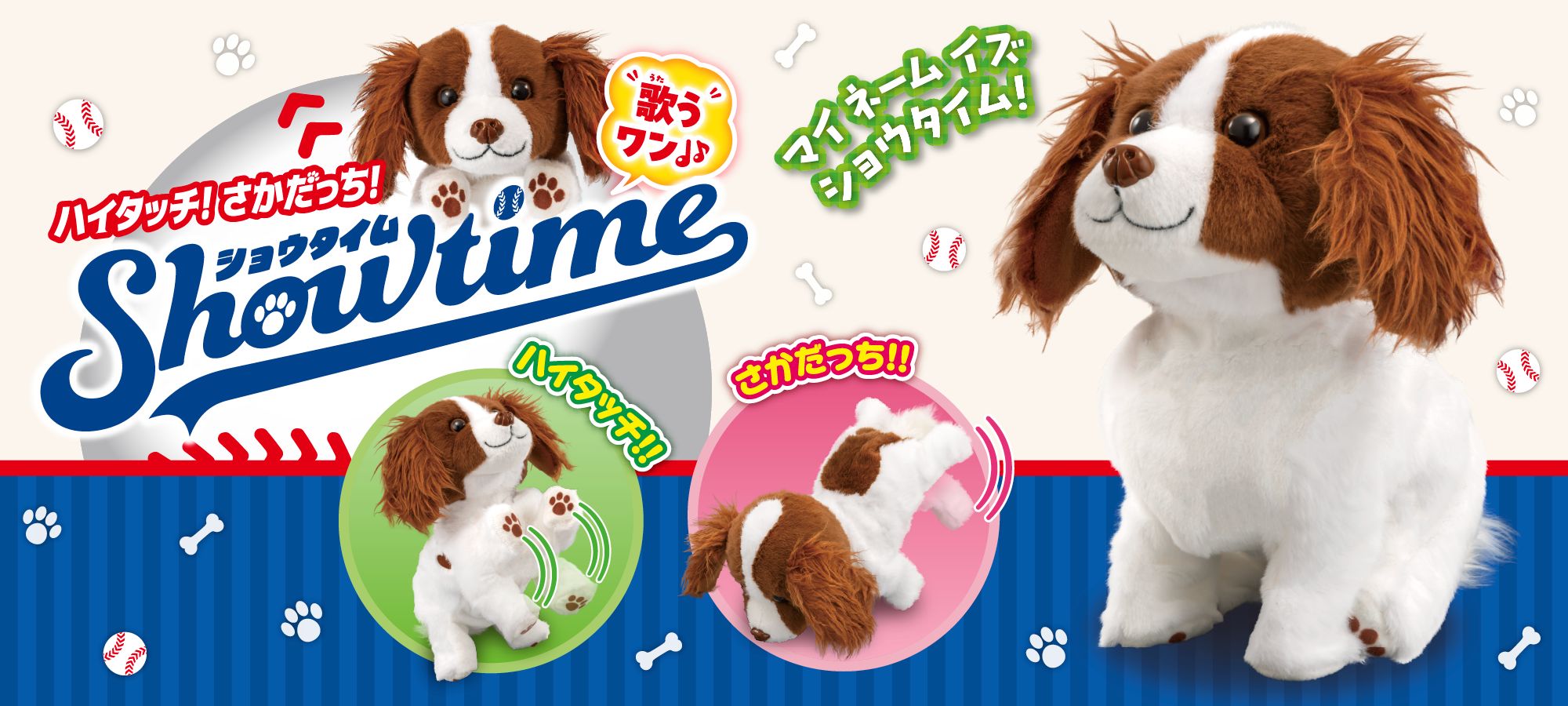 ハイタッチ！さかだっち！Showtime（ショウタイム）