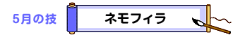 ５月の技：ネモフィラ