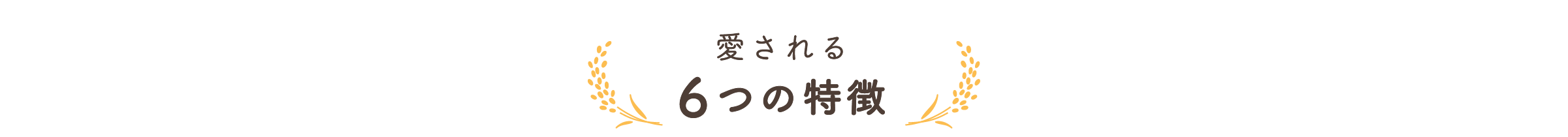 6つの特徴