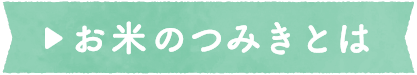 お米のつみきとは