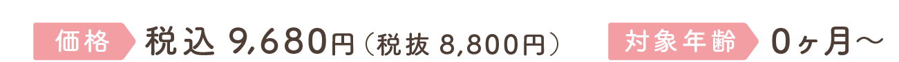 価格 税込9,680円(税込8,800円)