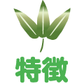 特徴