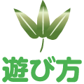 遊び方