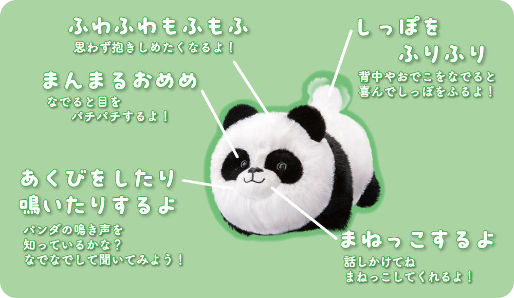 パンダきみは!?の特徴