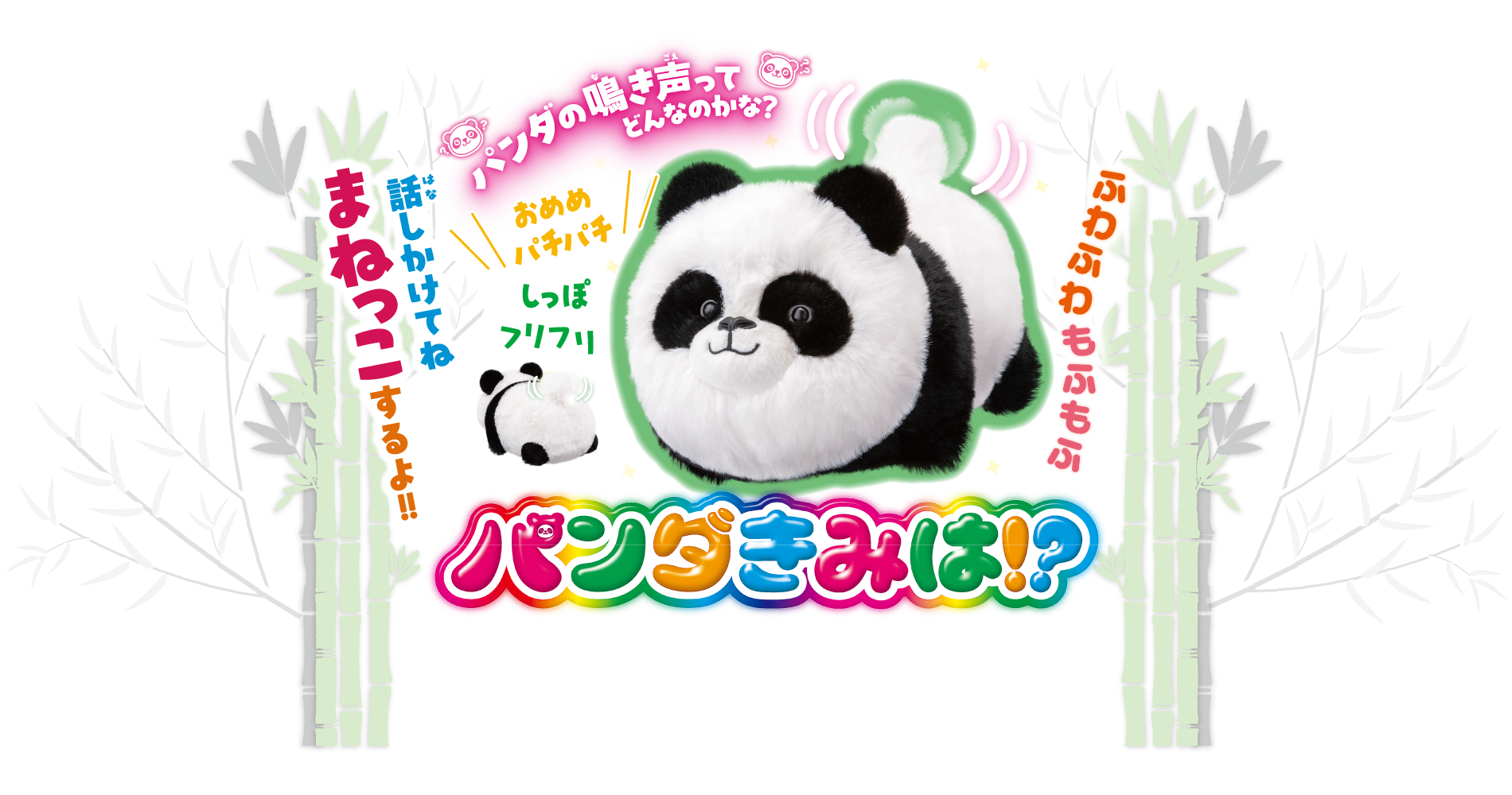 パンダきみは!?