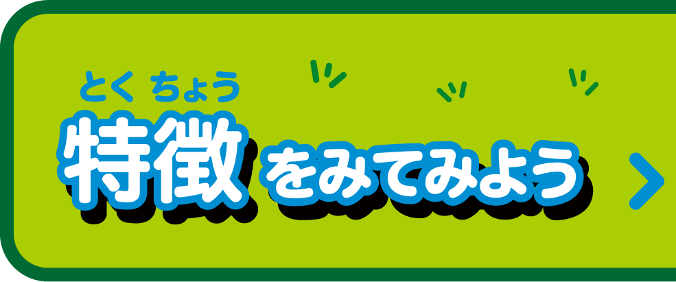 特徴をみてみよう