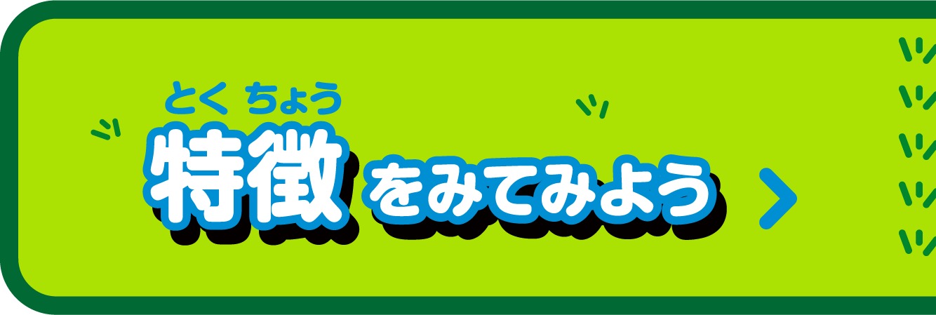 特徴をみてみよう