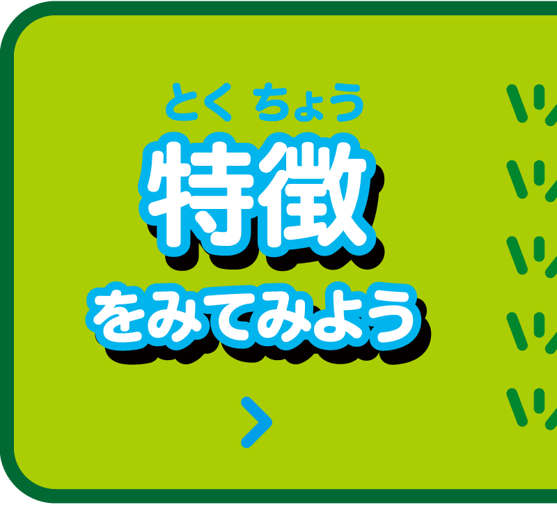 特徴をみてみよう