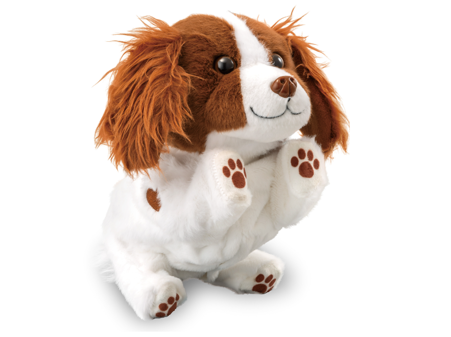 ハイタッチ！さかだっち！Showtime(ショウタイム）