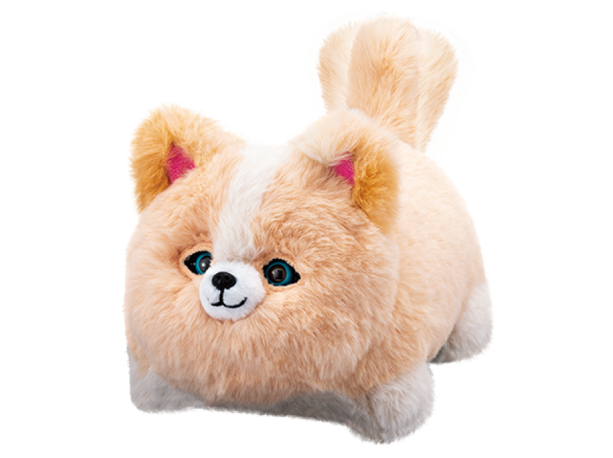 ワンだきみは！？